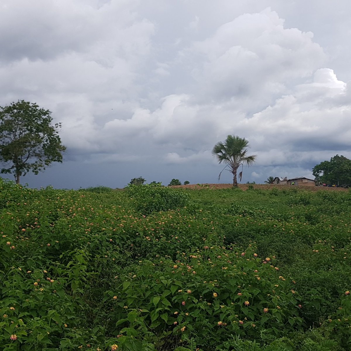 1,028 sqm Residential Lot For Sale in El Salvador Misamis Oriental [Lot