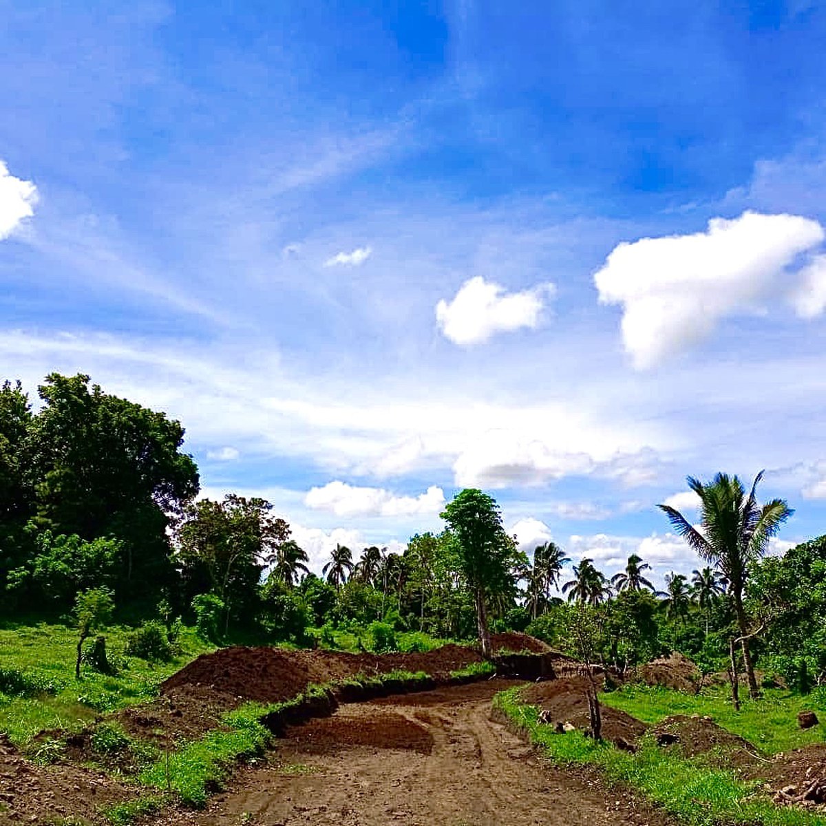 Farm lot with development in Upli Alfonso Cavite [Lot 🚜] (August 2024