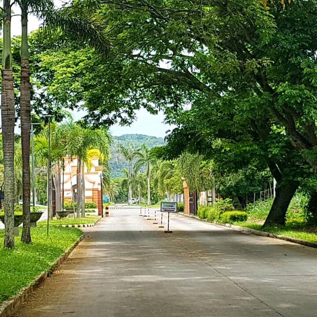 120 sqm Residential Lot For Sale in Biñan Laguna near Nuvali [Lot 🚜