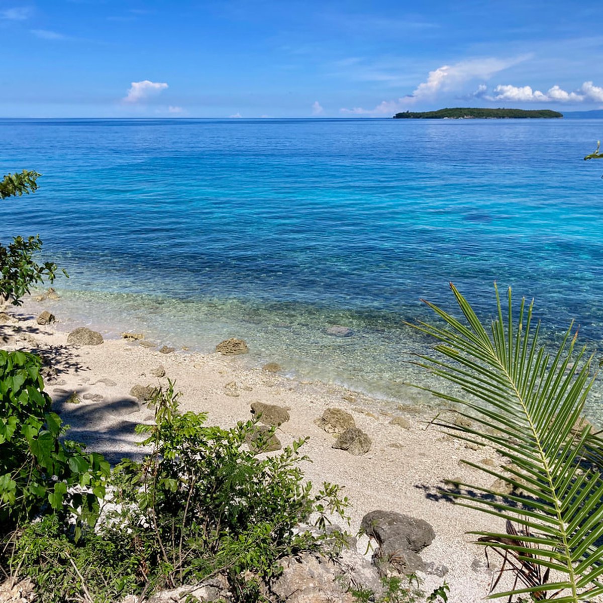 Beach Lot at Oslob for sale [Beach Property 🏖️] (January 2024) in Oslob, Cebu for sale Clean Title