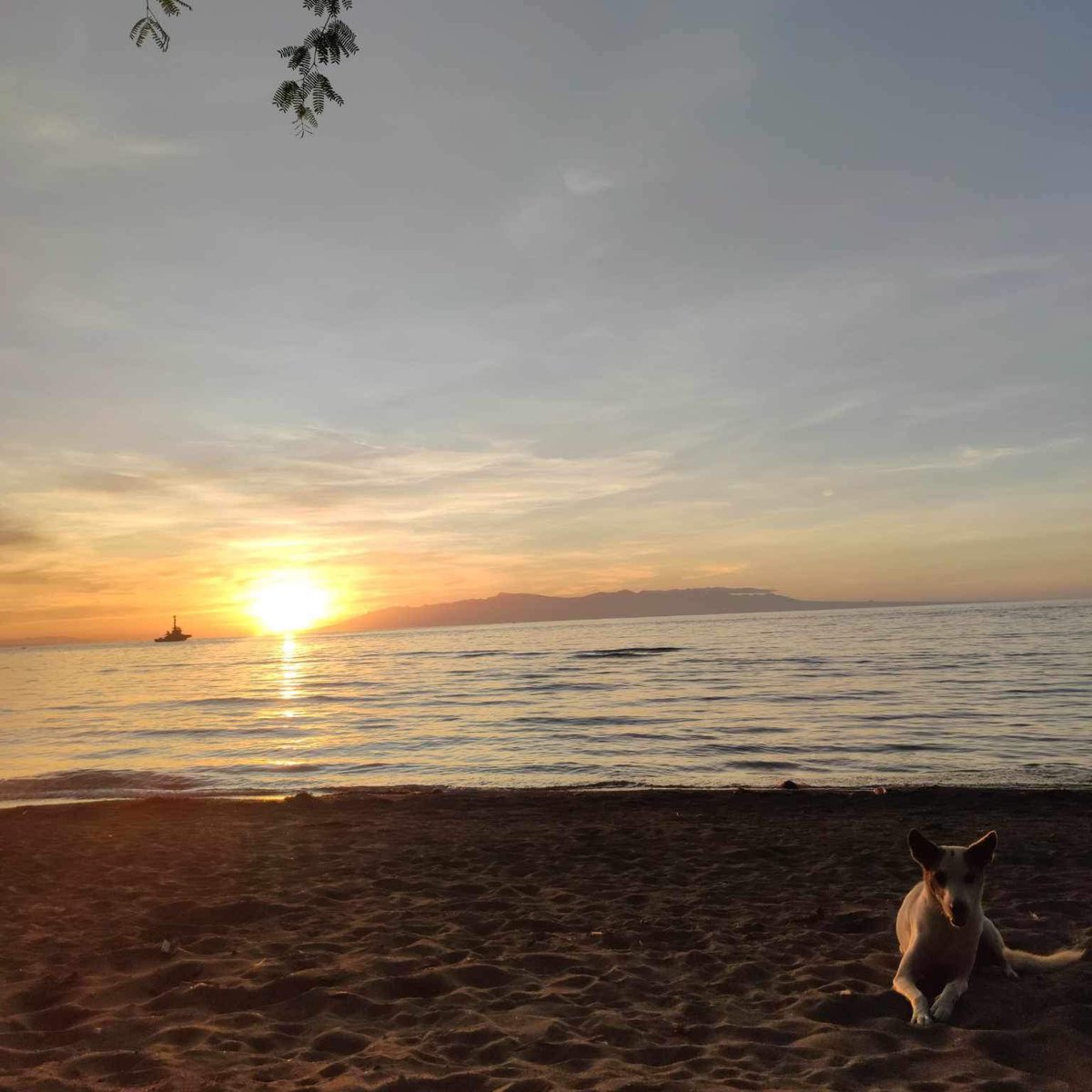 500 sqm Beach Property For Sale [Beach Property 🏖️] (July 2024) in