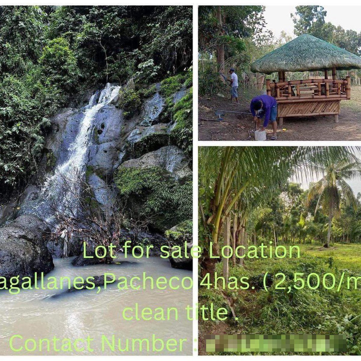 4 hectares AgroIndustrial Farm For Sale in Magallanes Cavite [Lot 🚜