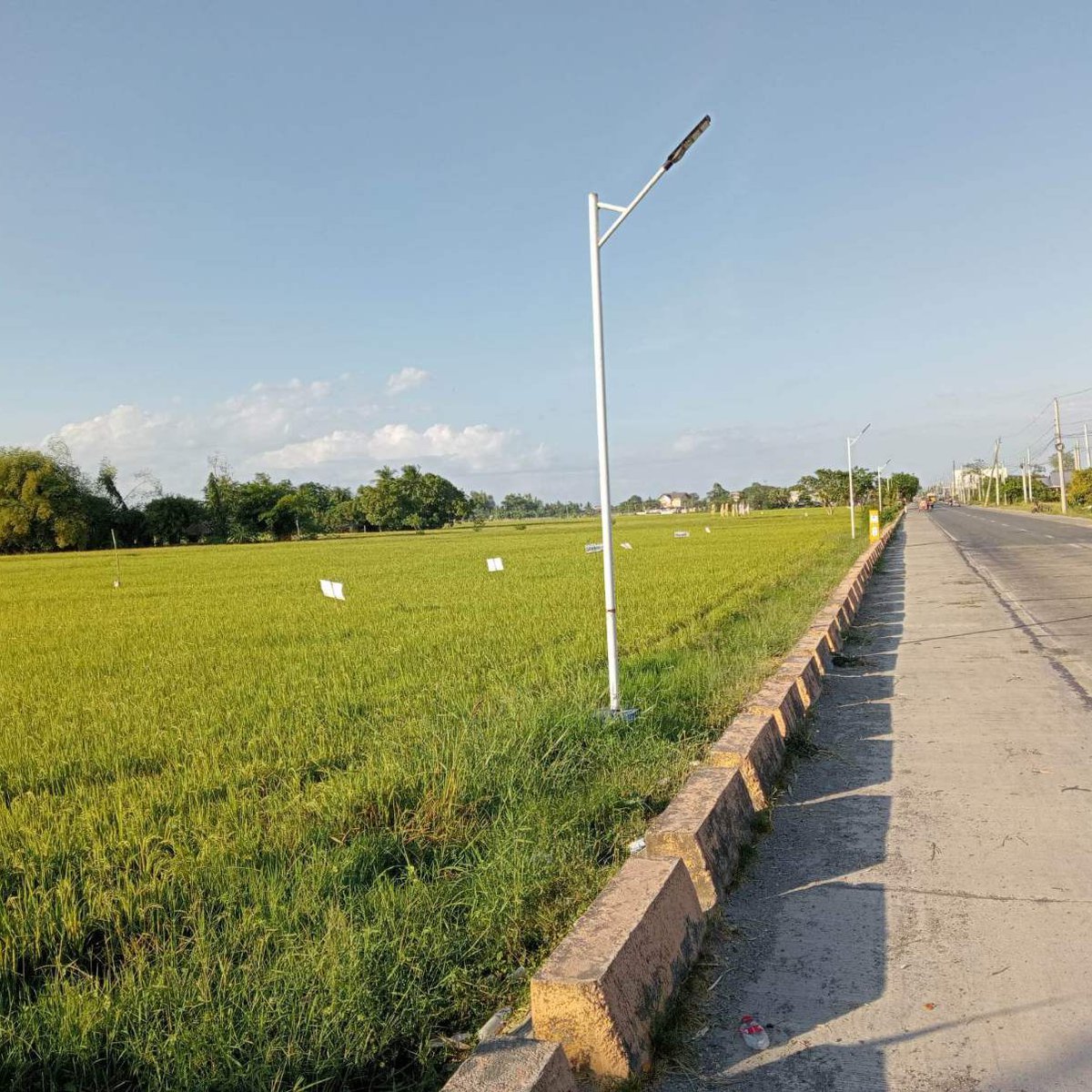 7.2 Hectare Agricultural Land in Nueva Ecija Neal CLEX Clean Title [Lot