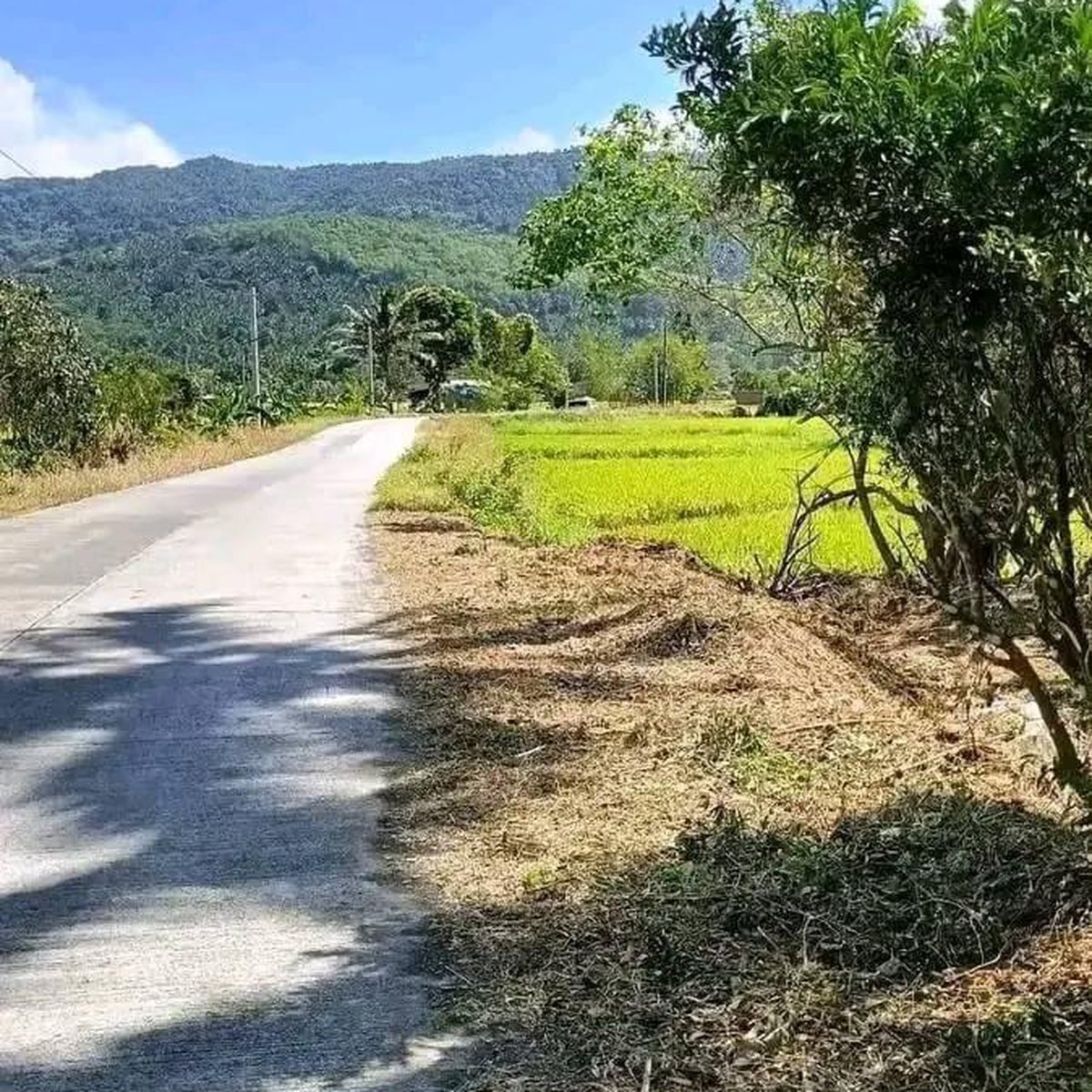 For Sale Residential Farm lot in Santa Maria Laguna [Lot 🚜] (June 2024