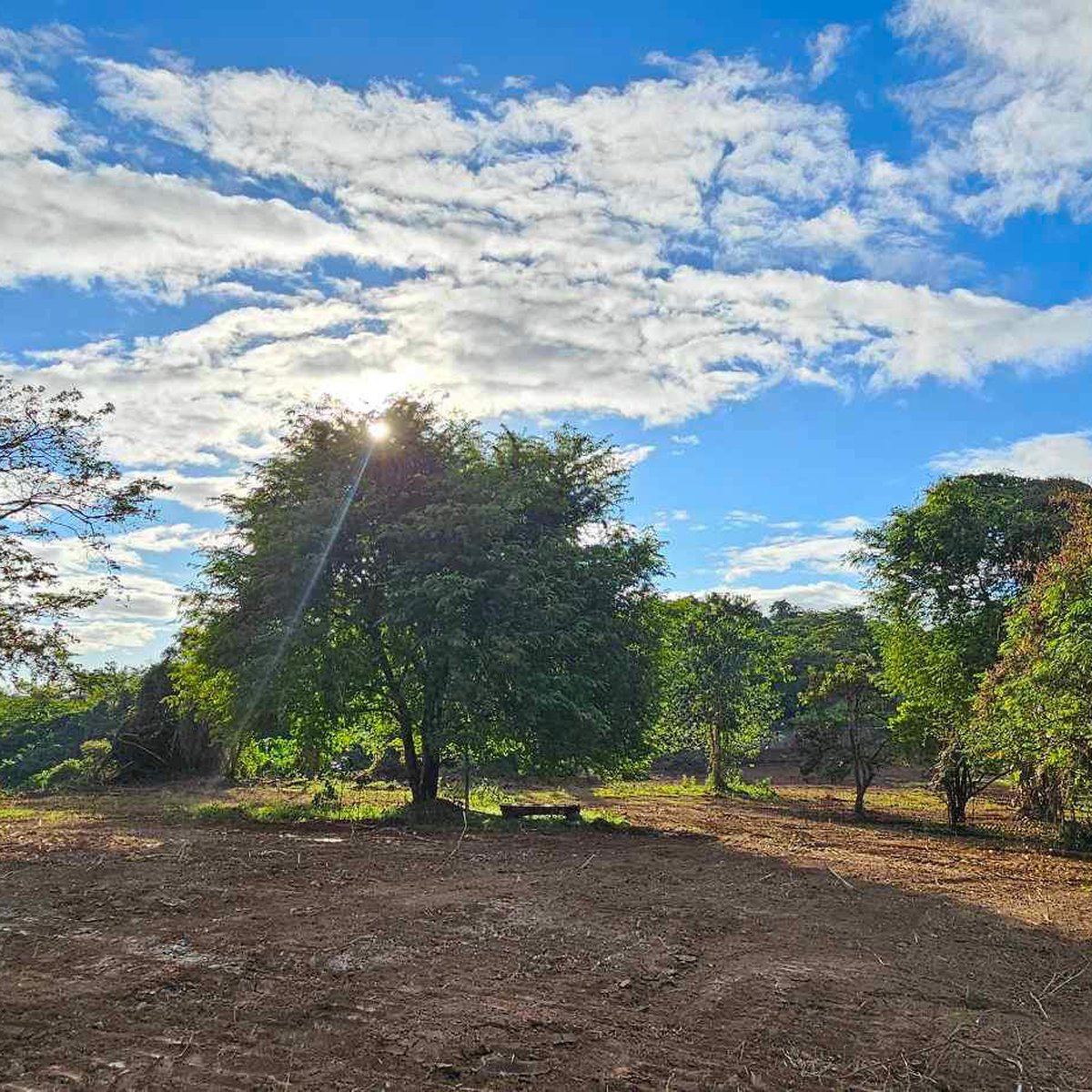 Residential lot in Tanay [Lots 🚜] (April 2024) in Tanay, Rizal for sale