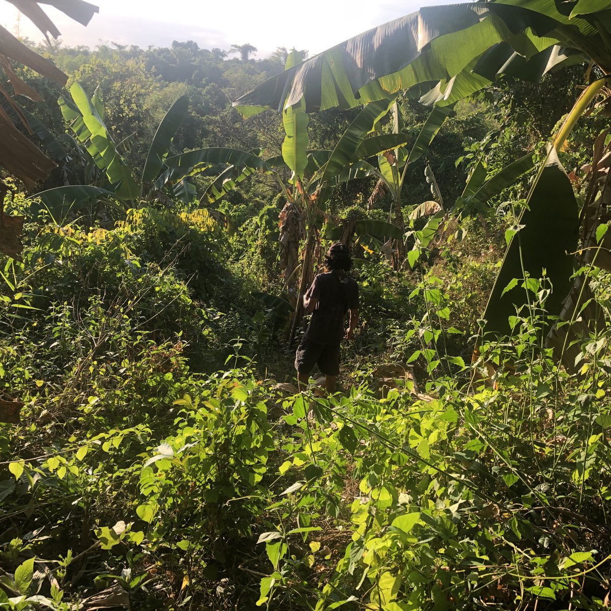 3 hectares Agricultural Farm For Sale in lagundi, Morong Rizal [Lot 🚜