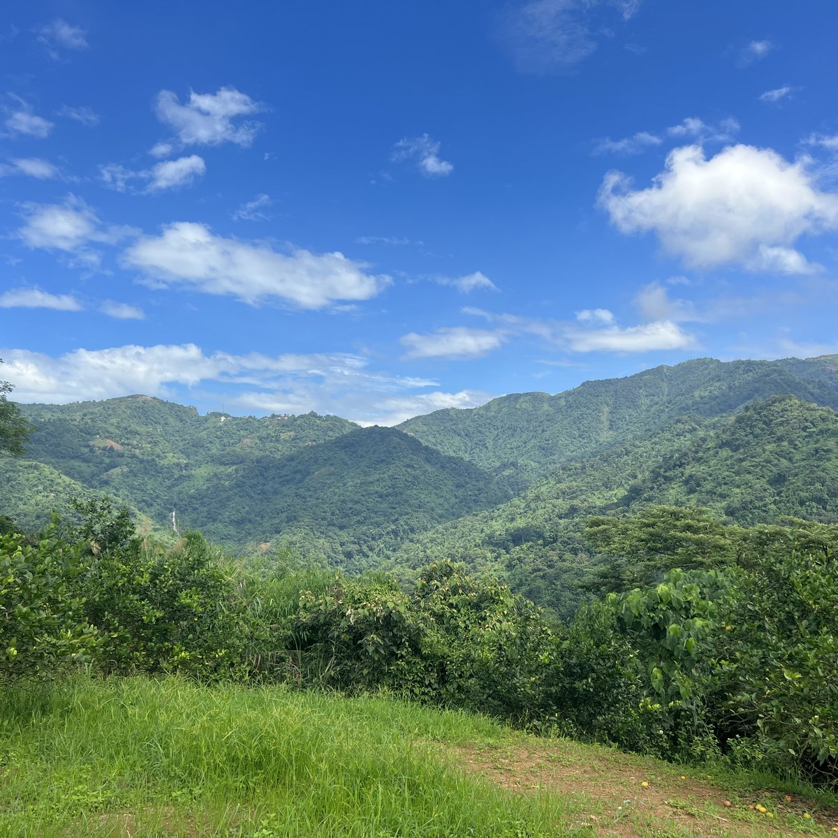 100 sqm Residential Lot For Sale in Tuba Benguet [Lot 🚜] (March 2024
