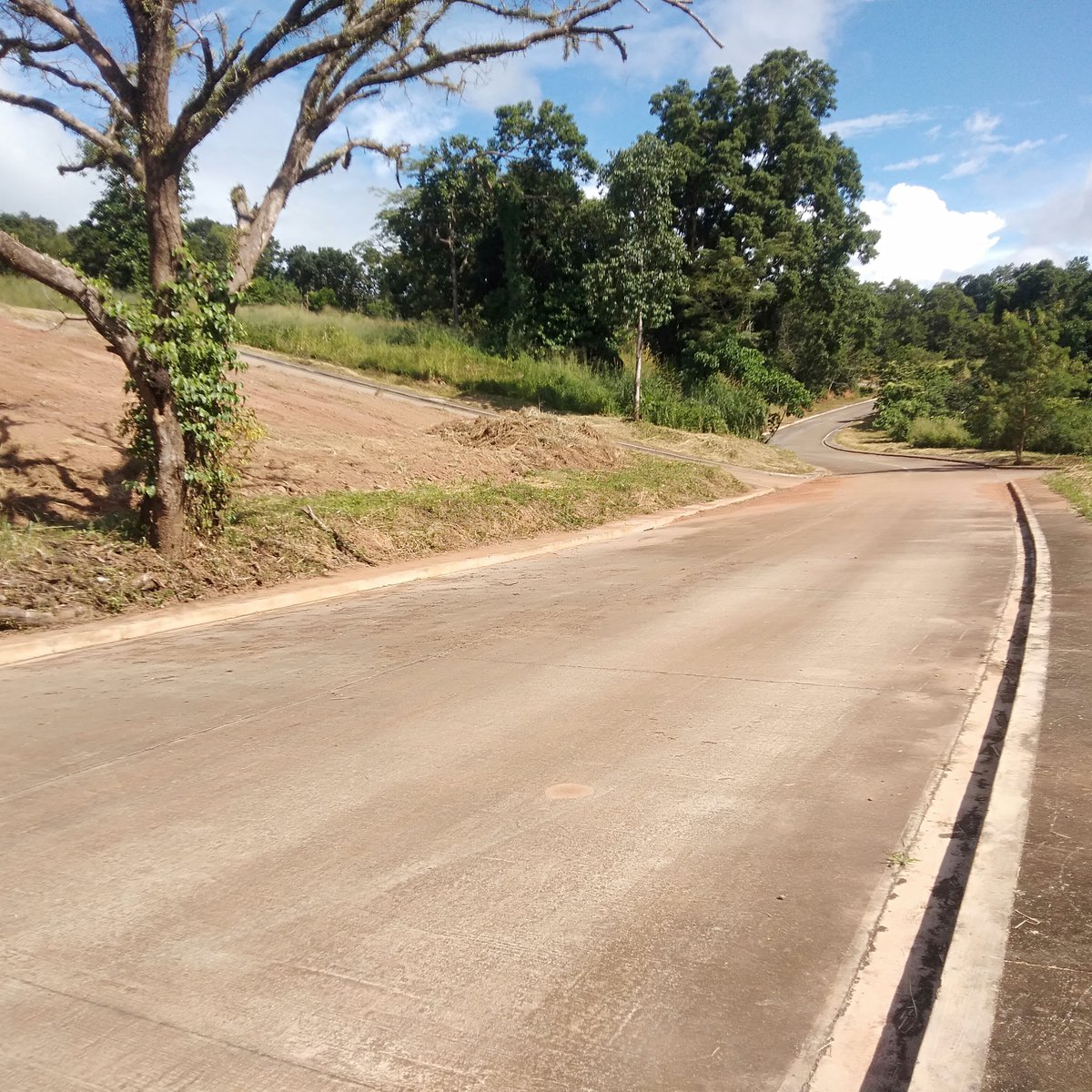 Residential LOTS in Sun valley Antipolo (FOR SALE) [Lot 🚜] (November