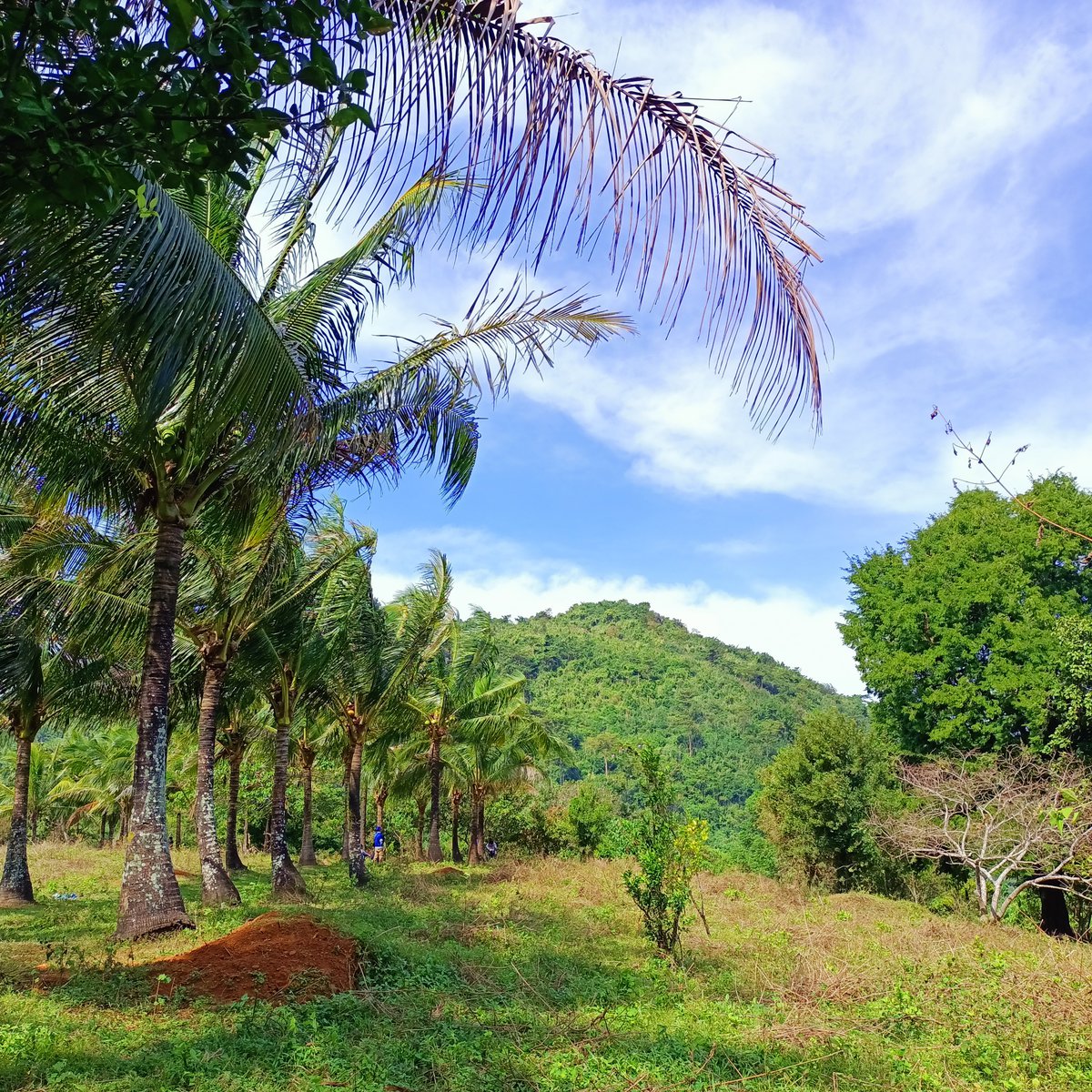 AFFORDABLE TITLED LOT IN TANAY RIZAL [Lot 🚜] (August 2024) in Tanay, Rizal for sale