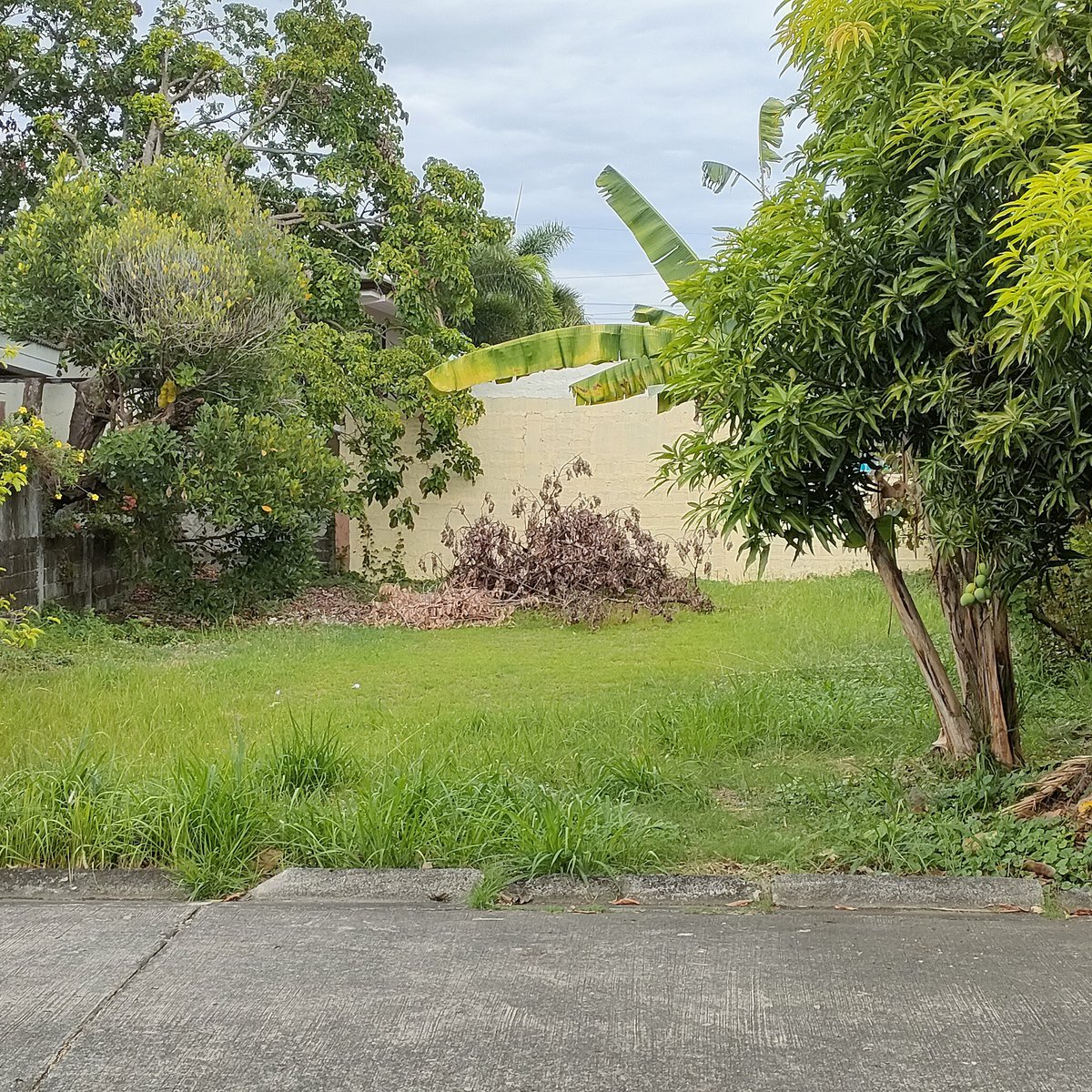 Residential Lot For Sale Filinvest South Binan Laguna with Clean Title