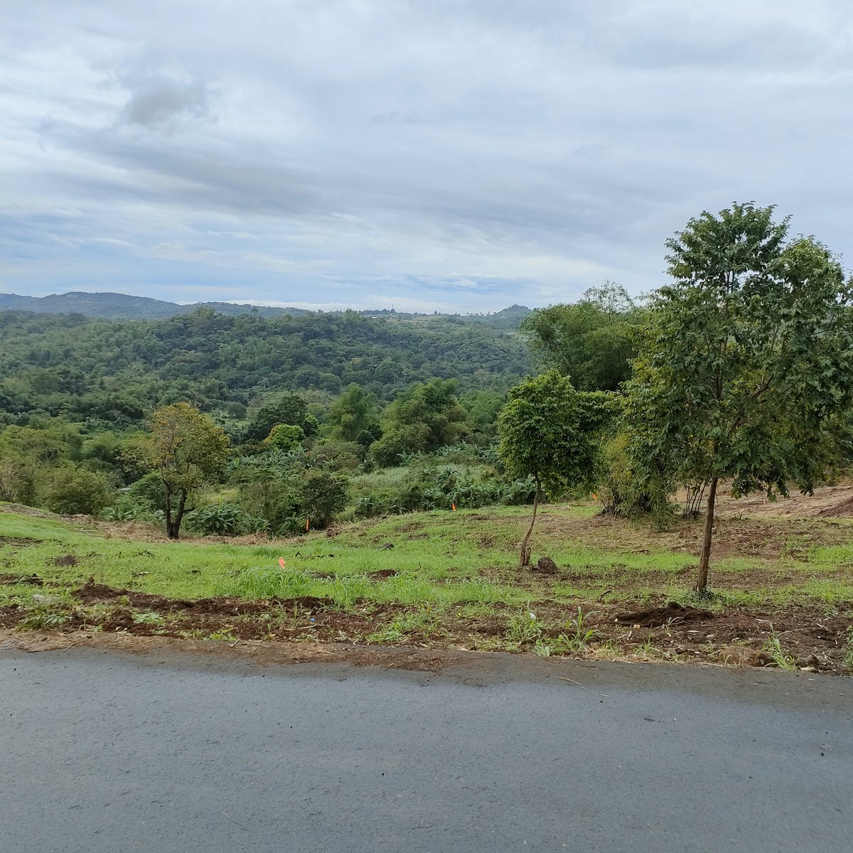 64 sqm Residential Lot For Sale in Morong Rizal [Lot 🚜] (May 2023) in