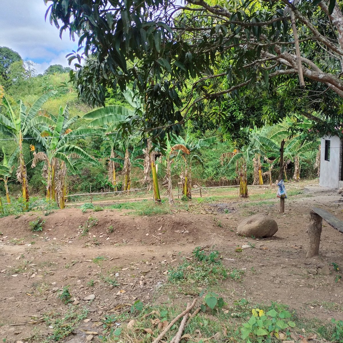 Residential farm lot [Lot 🚜] (July 2024) in Morong, Rizal for sale