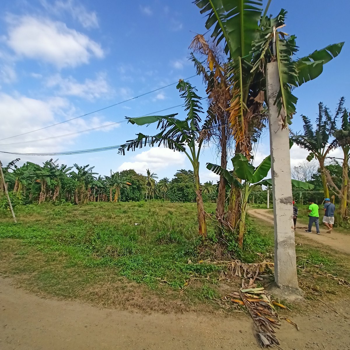 Good Investment Lot For Sale in Candelaria Quezon [Lot 🚜] (September