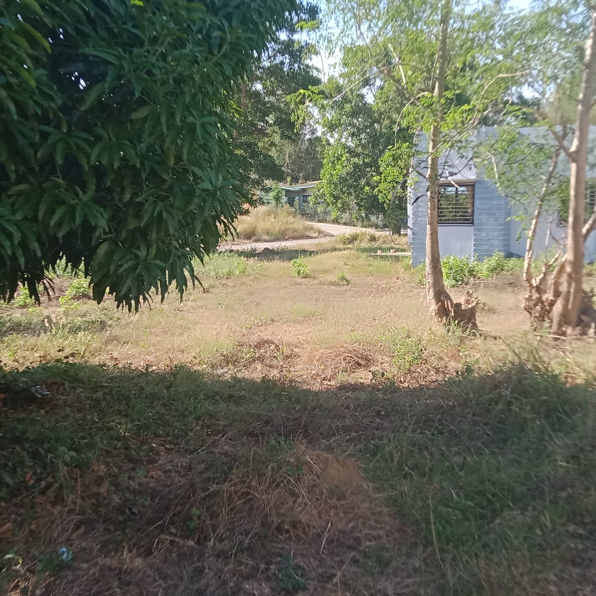 Discounted 120 sqm Residential Lot For Sale thru PagIBIG in Alaminos