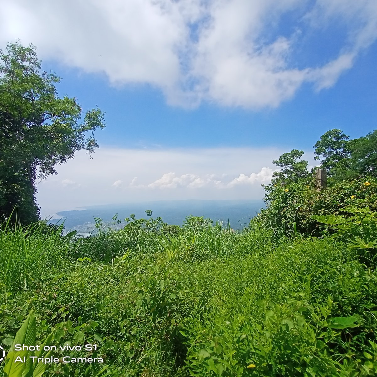 Residential Lot Overlooking Taal Lake Tagaytay City [Lot 🚜] (September