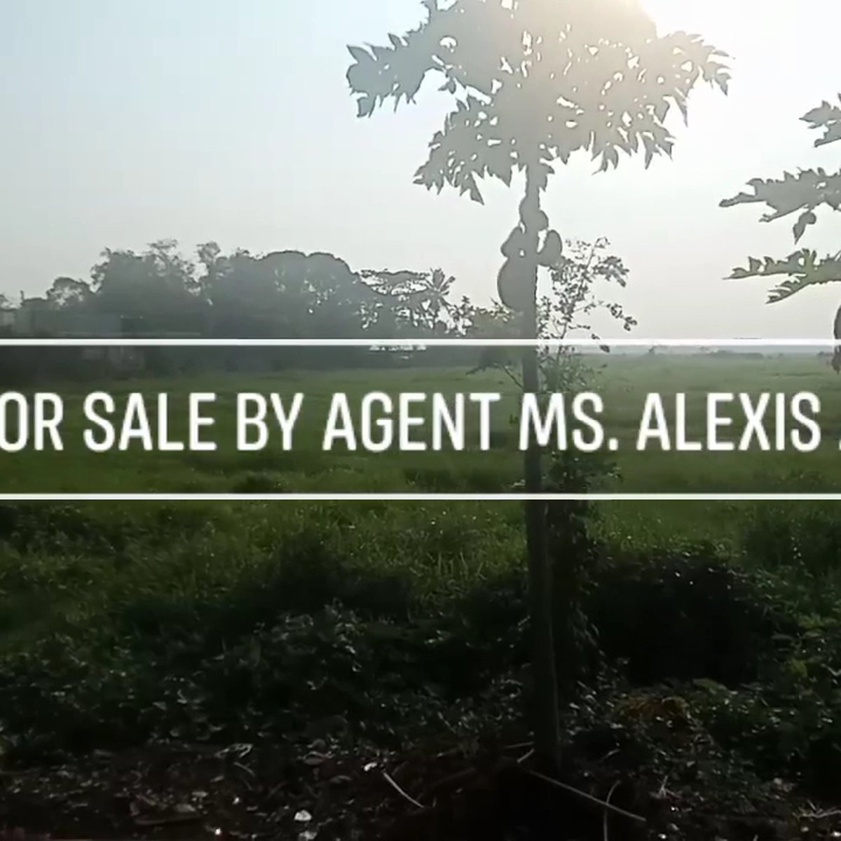 Tangos Baliuag Bulacan Flat Land For Sale [Lot 🚜] (August 2024) in