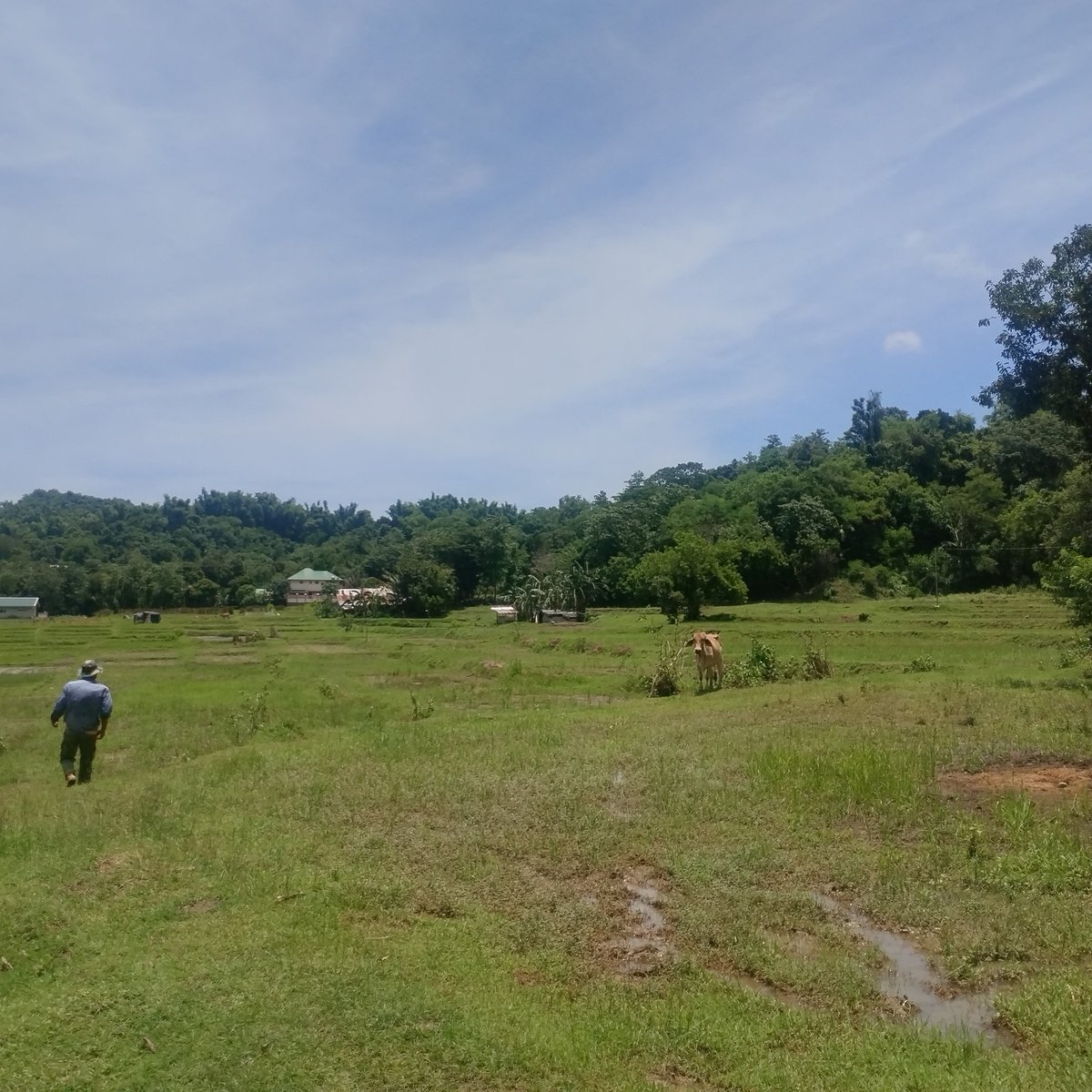 Titled refreshing water is not a problem [Lot 🚜] (September 2023) in