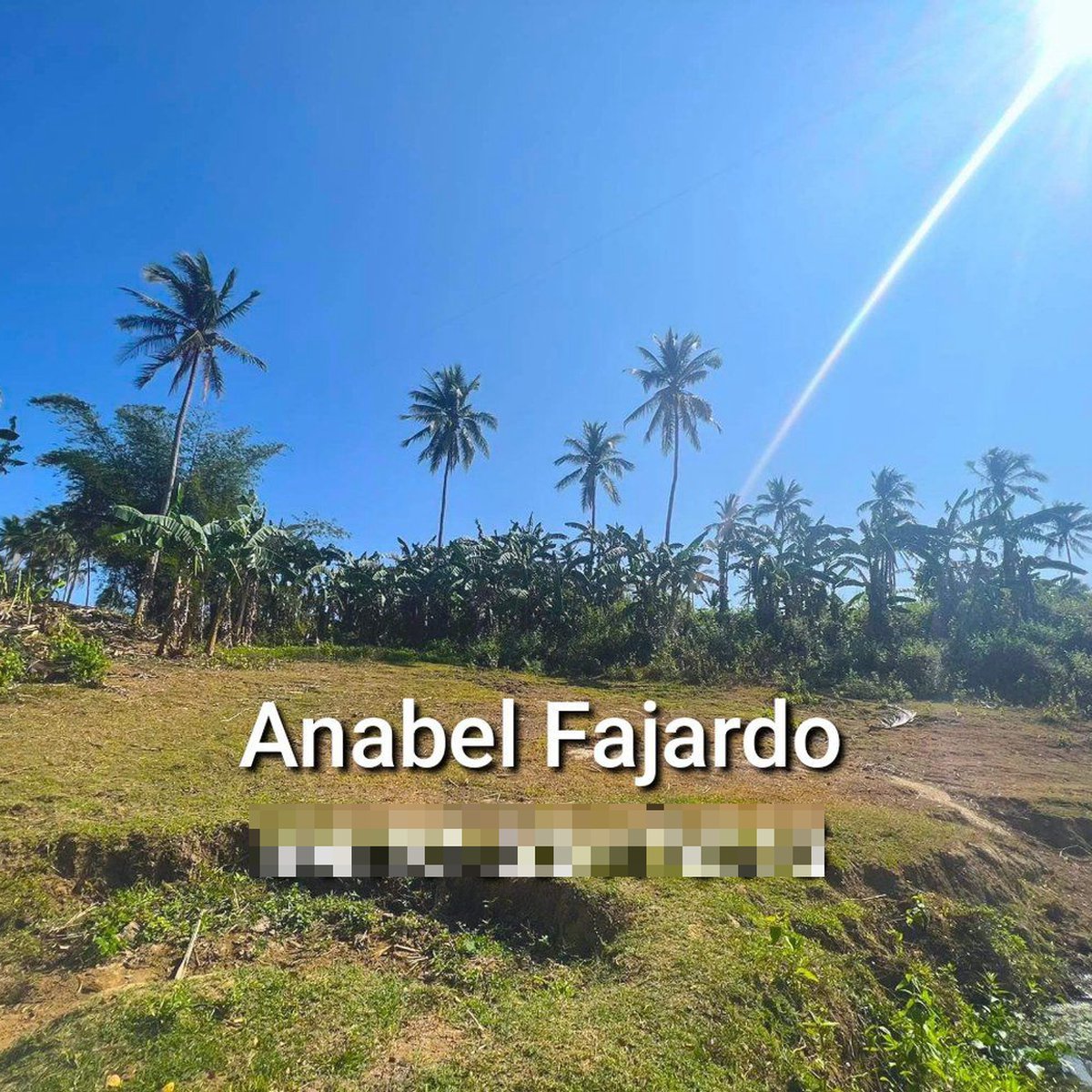 Subdivided farmlots min cut is 300sqm 500 sqm inner / corner lot [Lot