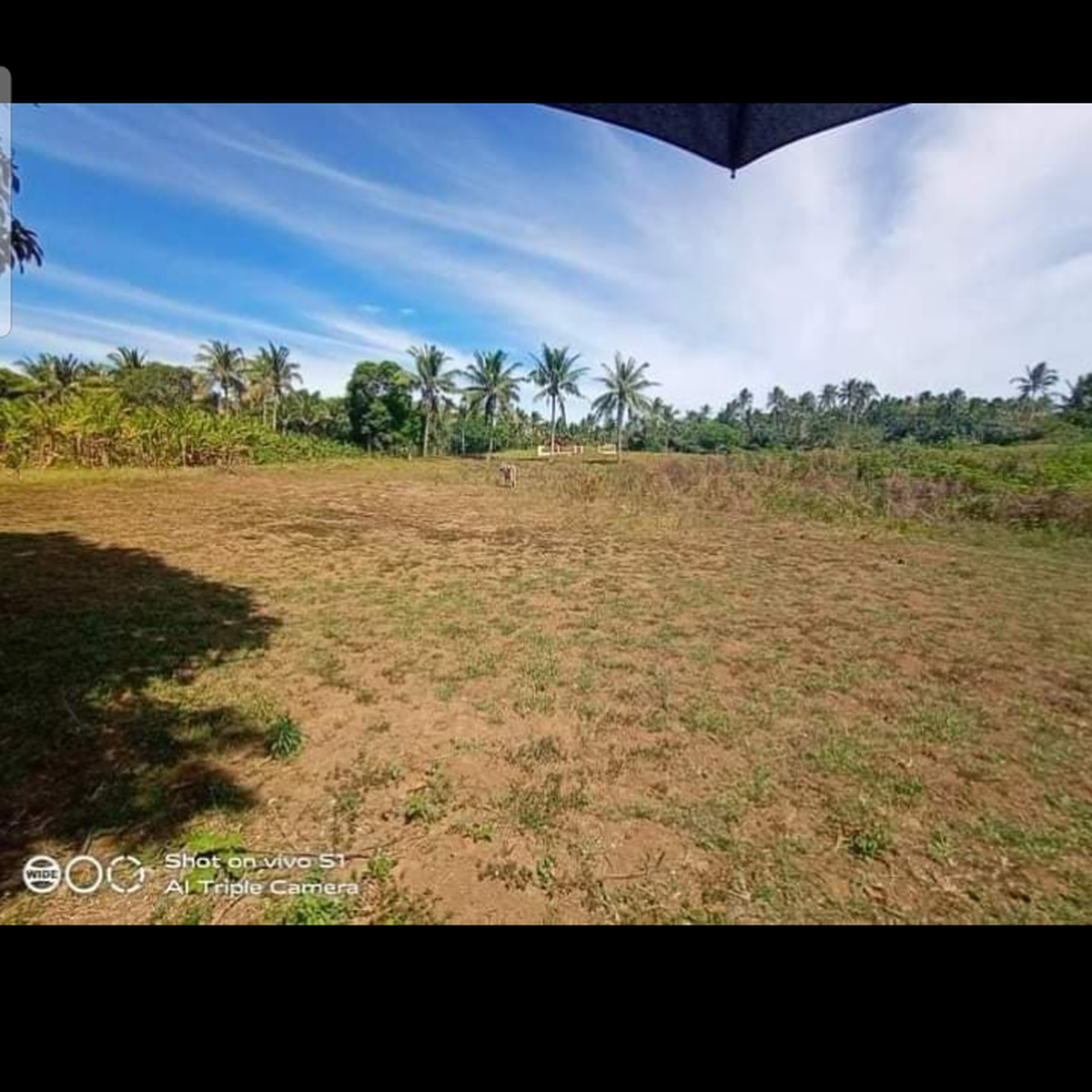 Farm lot with overlooking view kaytitinga alfonso cavite [Lot 🚜] (March