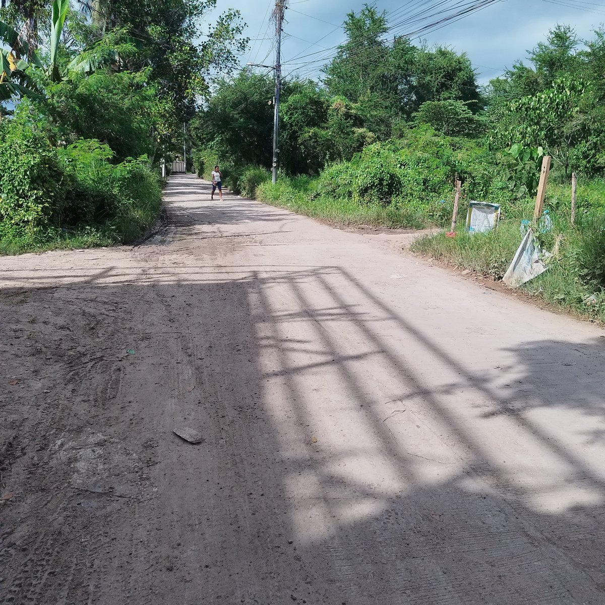 Lot for Sale [Lot 🚜] (June 2024) in Zamboanga Special Economic Zone