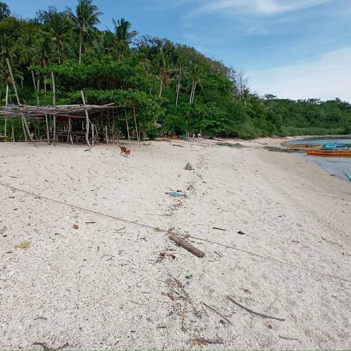 Island For Sale in Oriental Mindoro CRS0147 [Lot 🚜] (April 2024) in