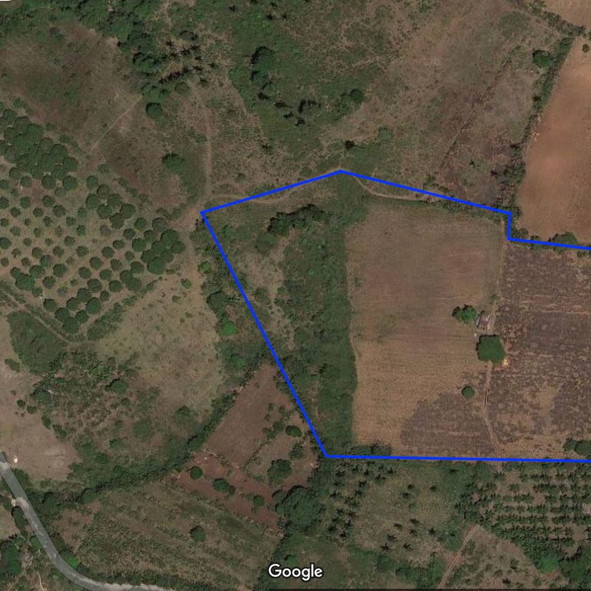 Agricultural Land Property for Sale [Lot 🚜] (July 2023) in El Salvador