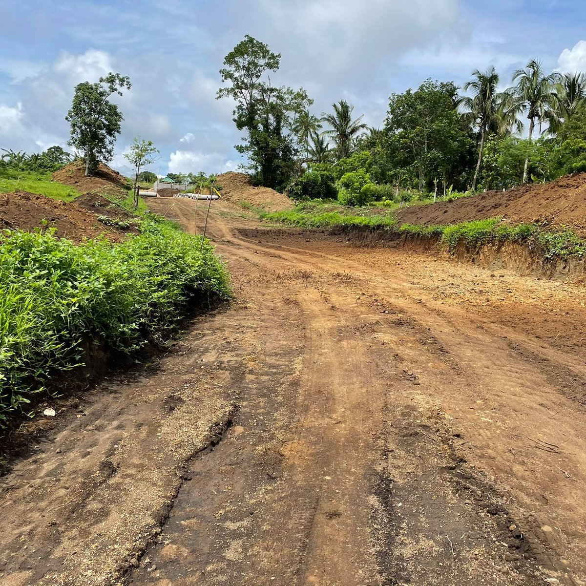 RESIDENTIAL FARM LOT FOR SALE [Lot 🚜] (April 2023) in Alfonso, Cavite