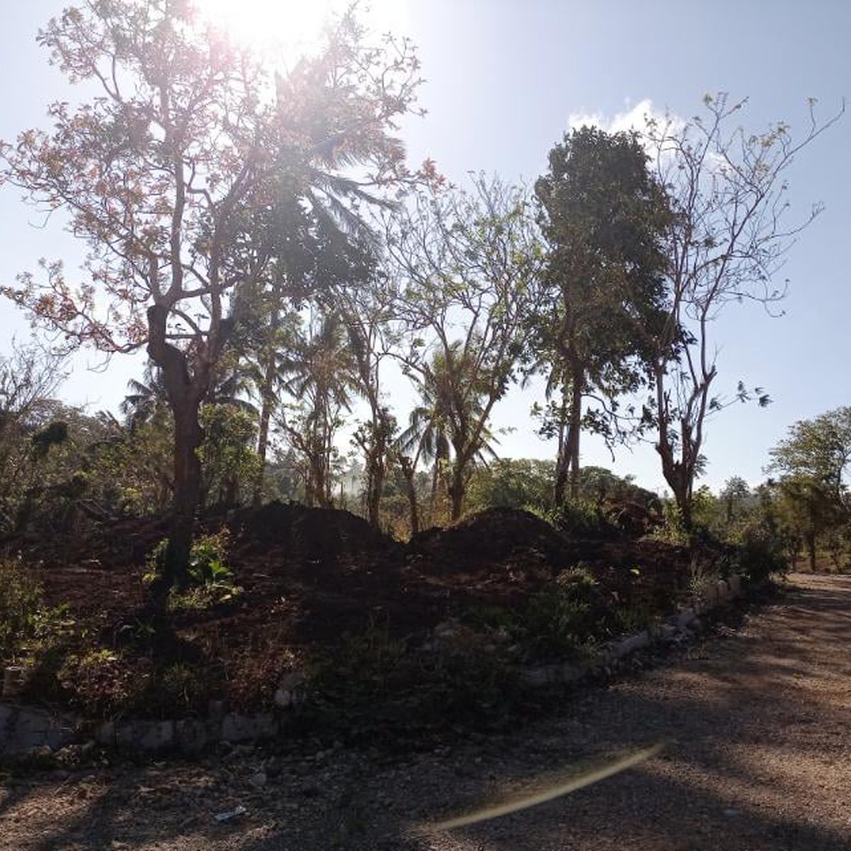 VERY CHEAP RESIDENTIAL FARM LOT FOR SALE IN TAGAYTAY UPLI AND ALFONSO