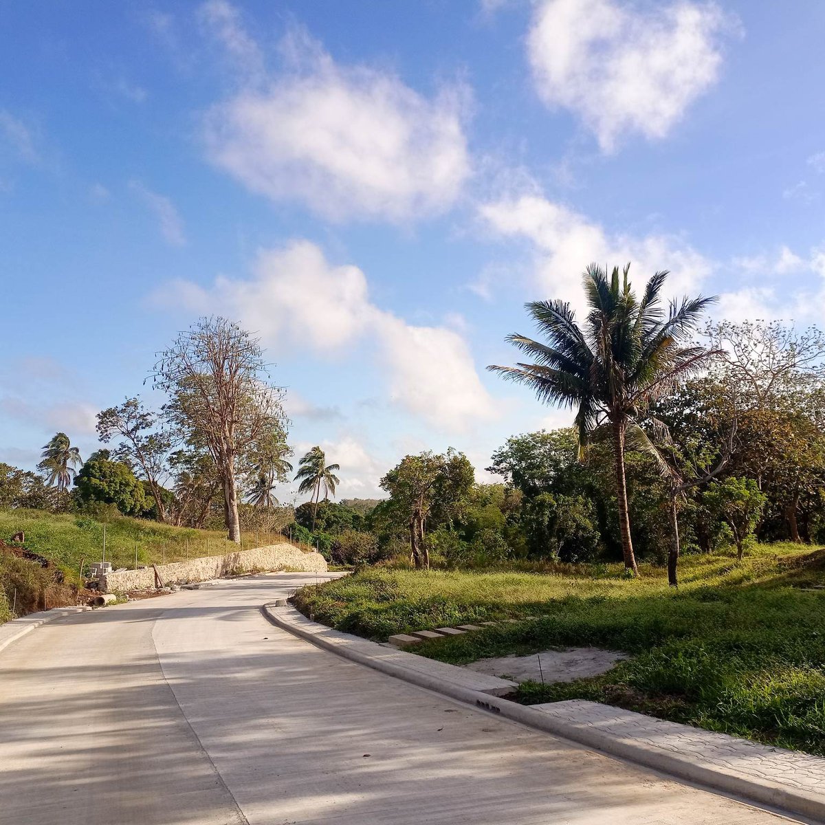 Farm for Sale near Strawberry Farm house Tagaytay [Lot 🚜] (September