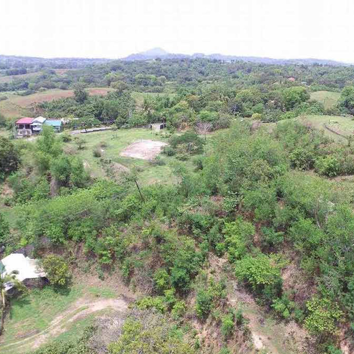 Lian Batangas Lot for Sale (9 hectares) [Lot 🚜] (September 2020) in