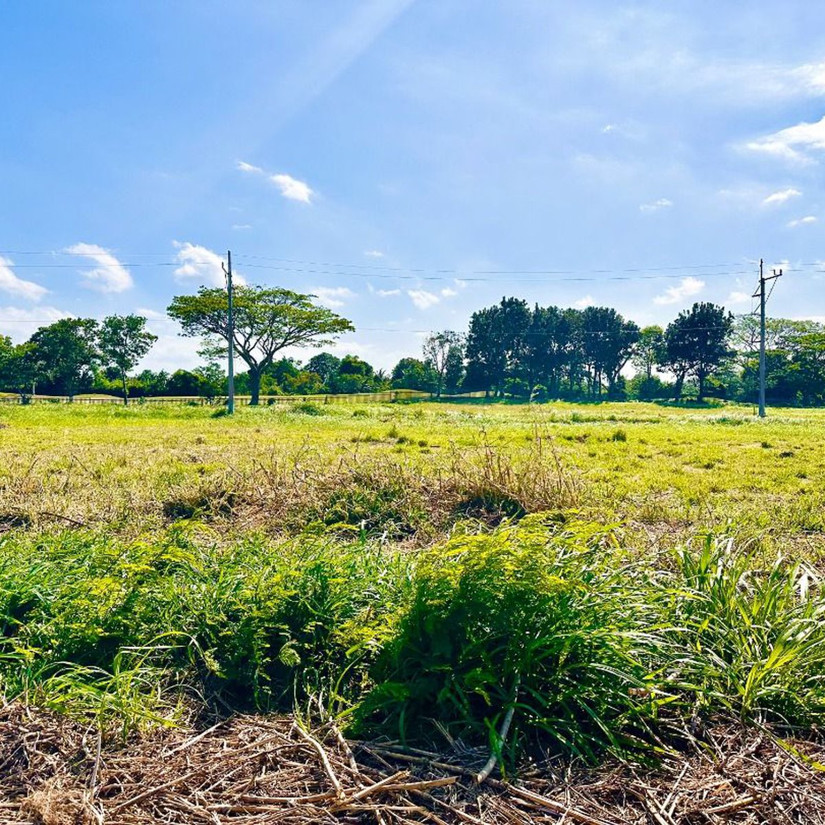 Lot for sale in Eagle Ridge Golf and Country Club [Lot 🚜] (November