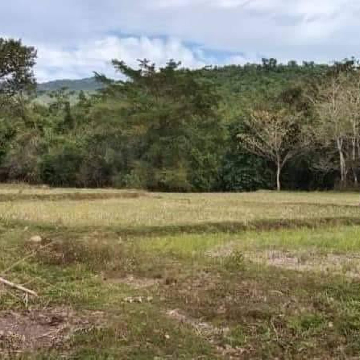 Farm Lot at Tanay Rizal CRS0184 [Lot 🚜] (April 2024) in Tanay, Rizal