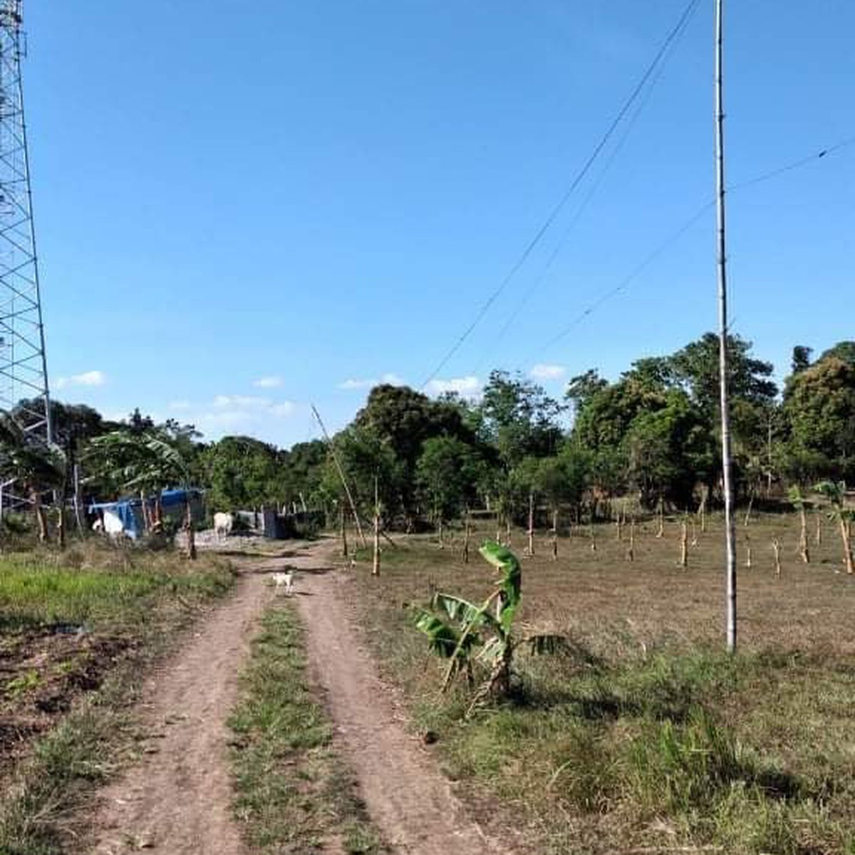 GMA Cavite FARM LOT [Lot 🚜] (June 2021) in General Mariano Alvarez ...