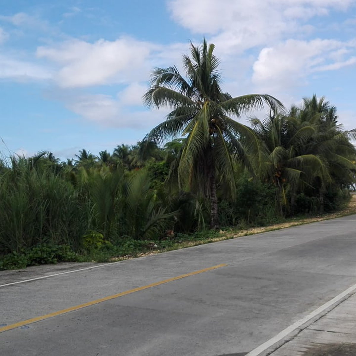 Beach Front Lot for Sale in General Luna, Siargao Island [Lot 🚜