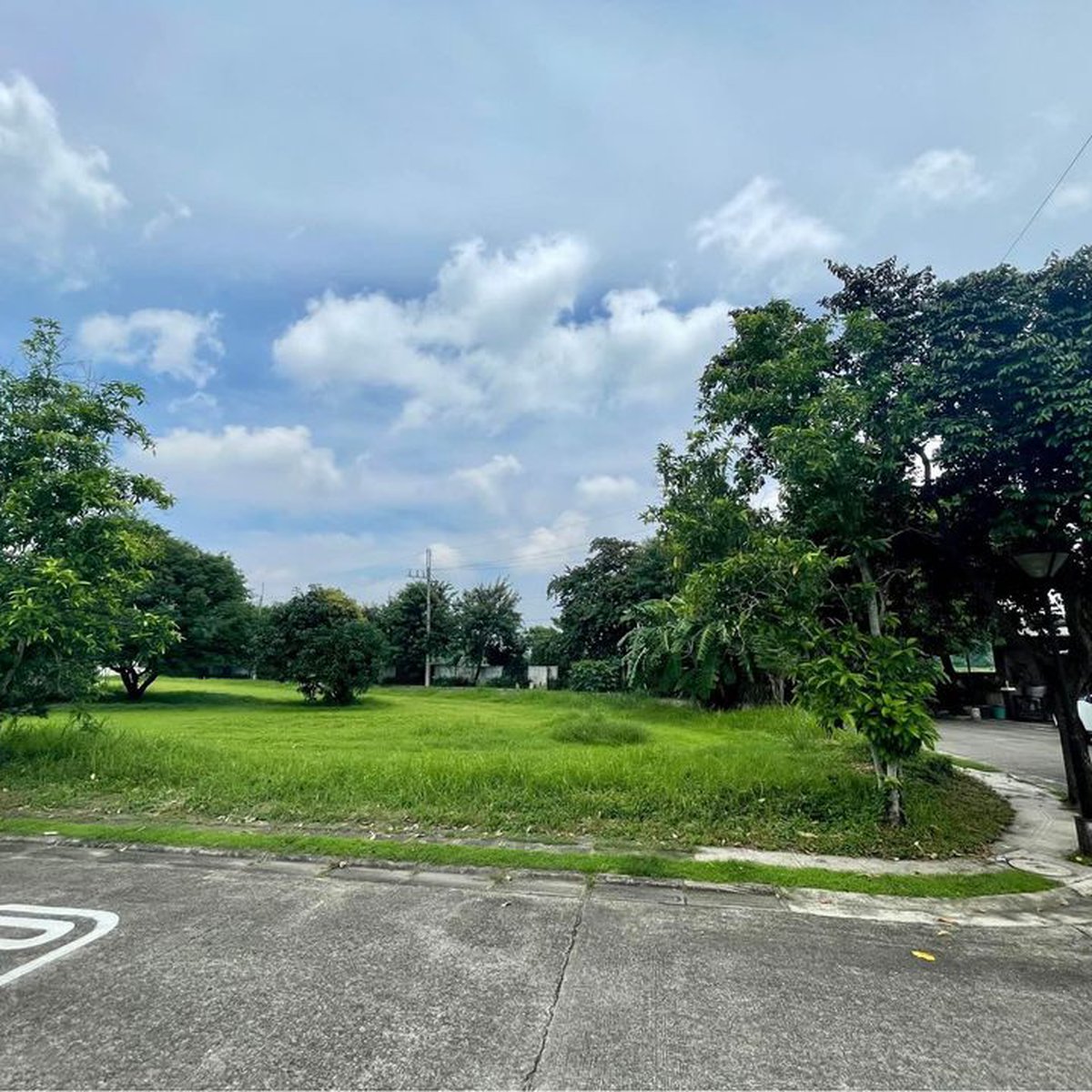 For Sale Corner Lot in Verdana Homes Mamplasan in Binan Laguna [Lot 🚜