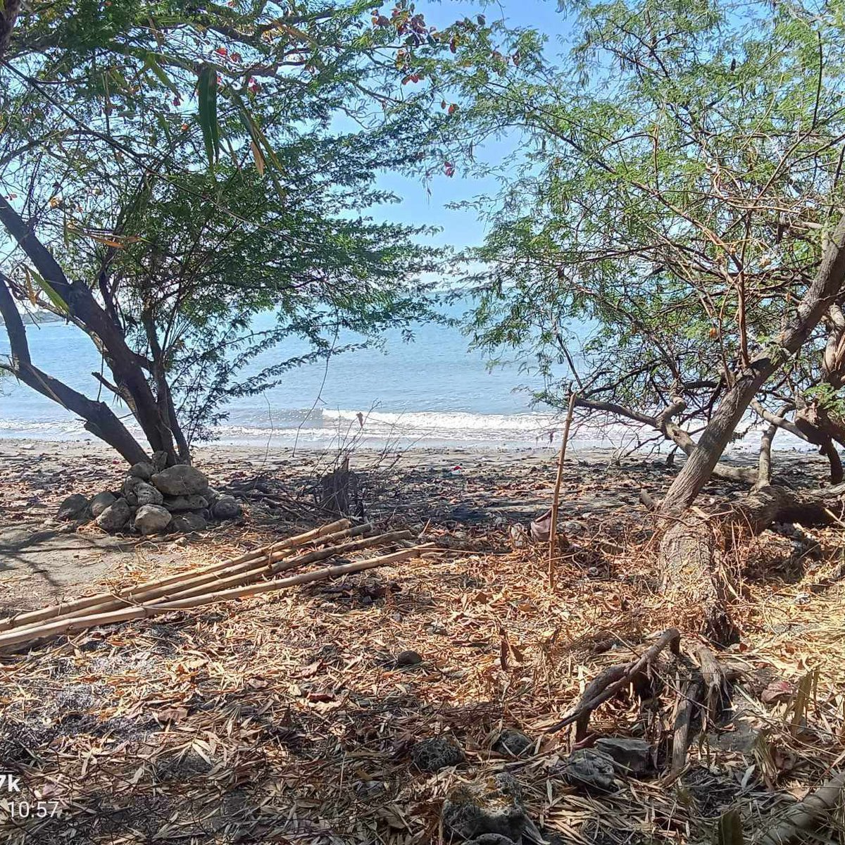 712 sqm Beach Property For Sale in San Fabian Pangasinan [Beach