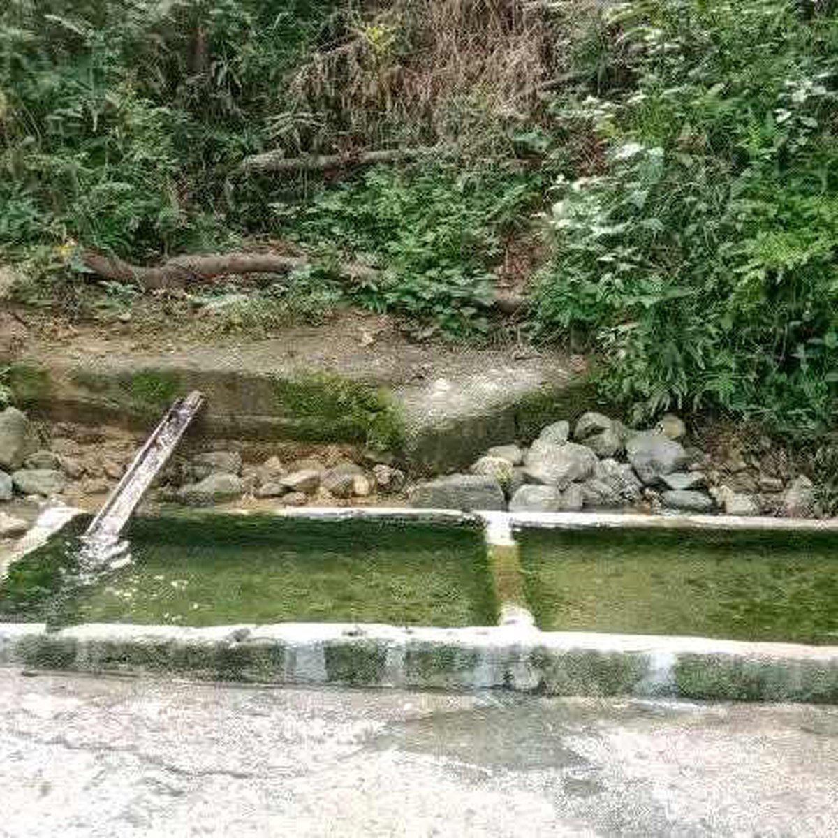 2.36 Hectares Raw Land For Sale in Asturias Cebu [Lot 🚜] (July 2024) in