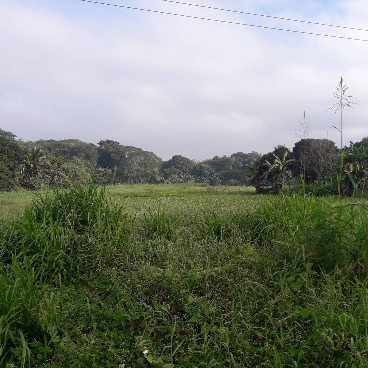 2.1 hectares Raw Land For Sale in Rodriguez Burgos (Montalban) Rizal