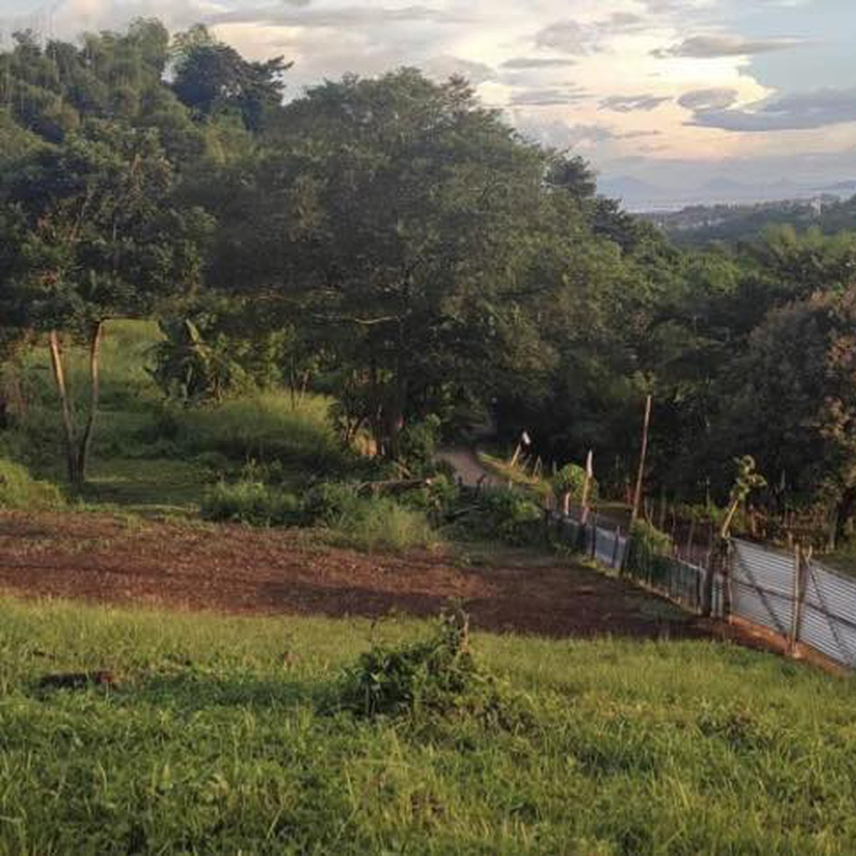 AFFORDABLE RESIDENTIAL FARM LOT FOR SALE IN MORONG RIZAL [Lot 🚜