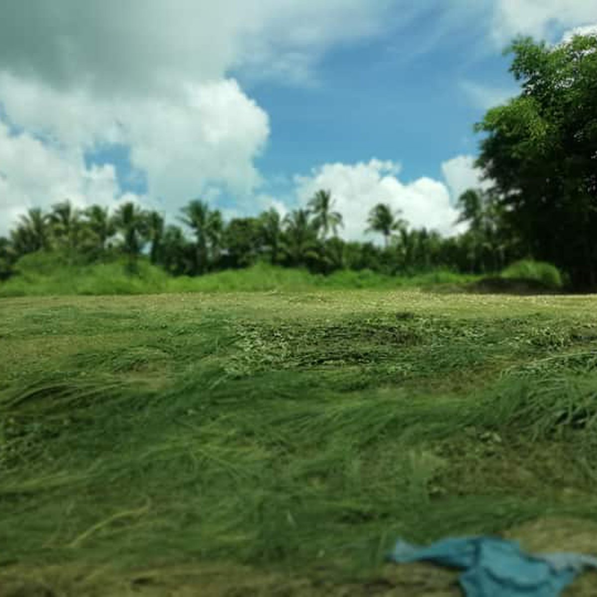 505 sqm Residential Lot For Sale in Tagaytay Cavite [Lot 🚜] (December