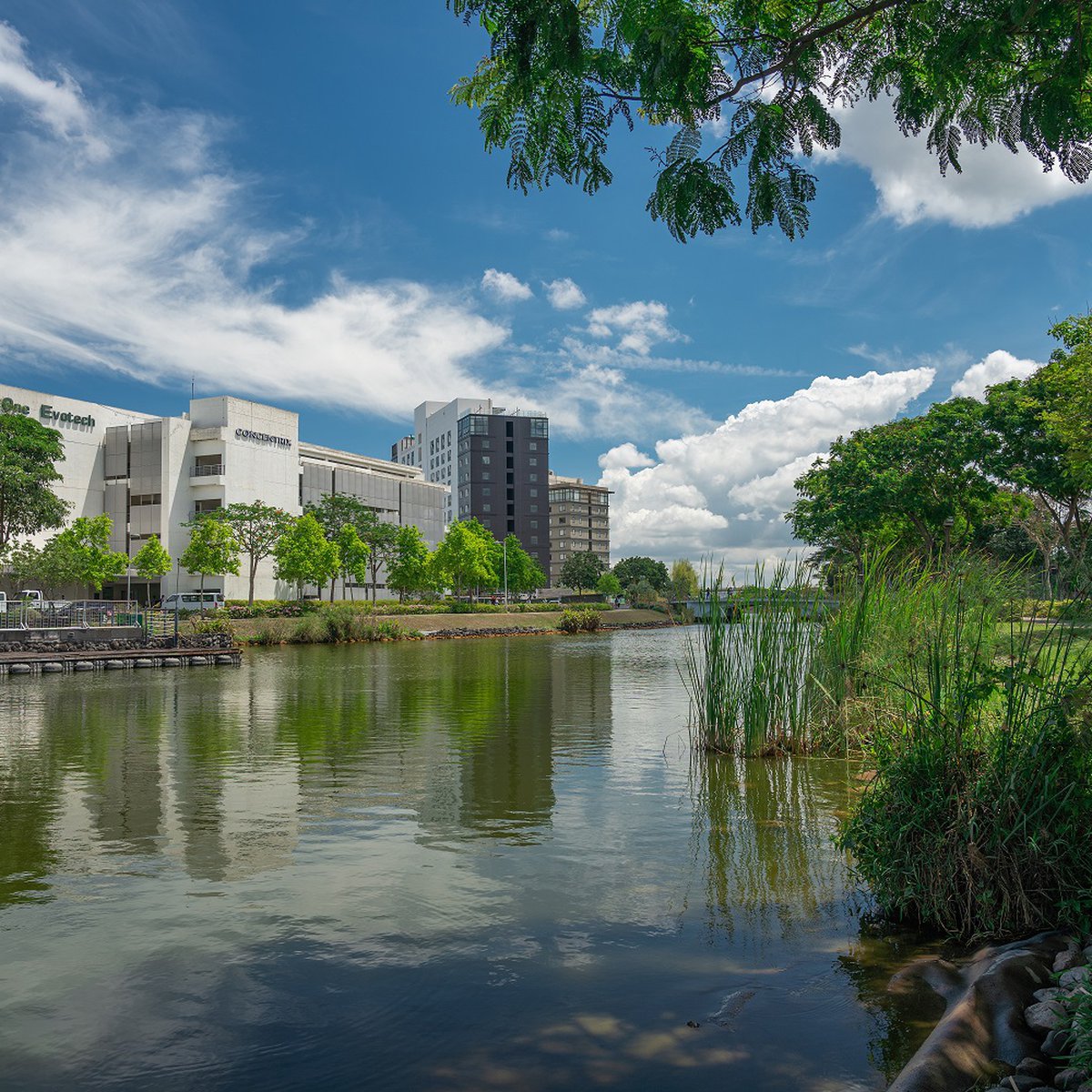 Invest in Nuvali Estate Commercial Lot For Sale Sta. Rosa Laguna [Lot 🚜
