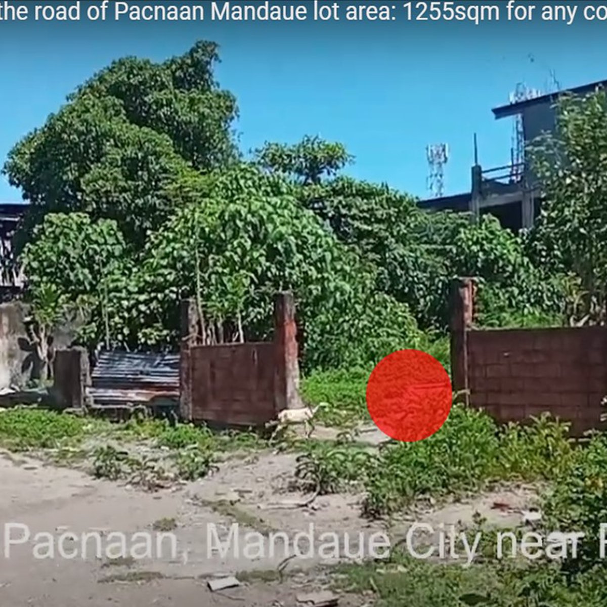1255 sqm Commercial Lot For Sale in Mandaue Cebu [Lot 🚜] (February 2023
