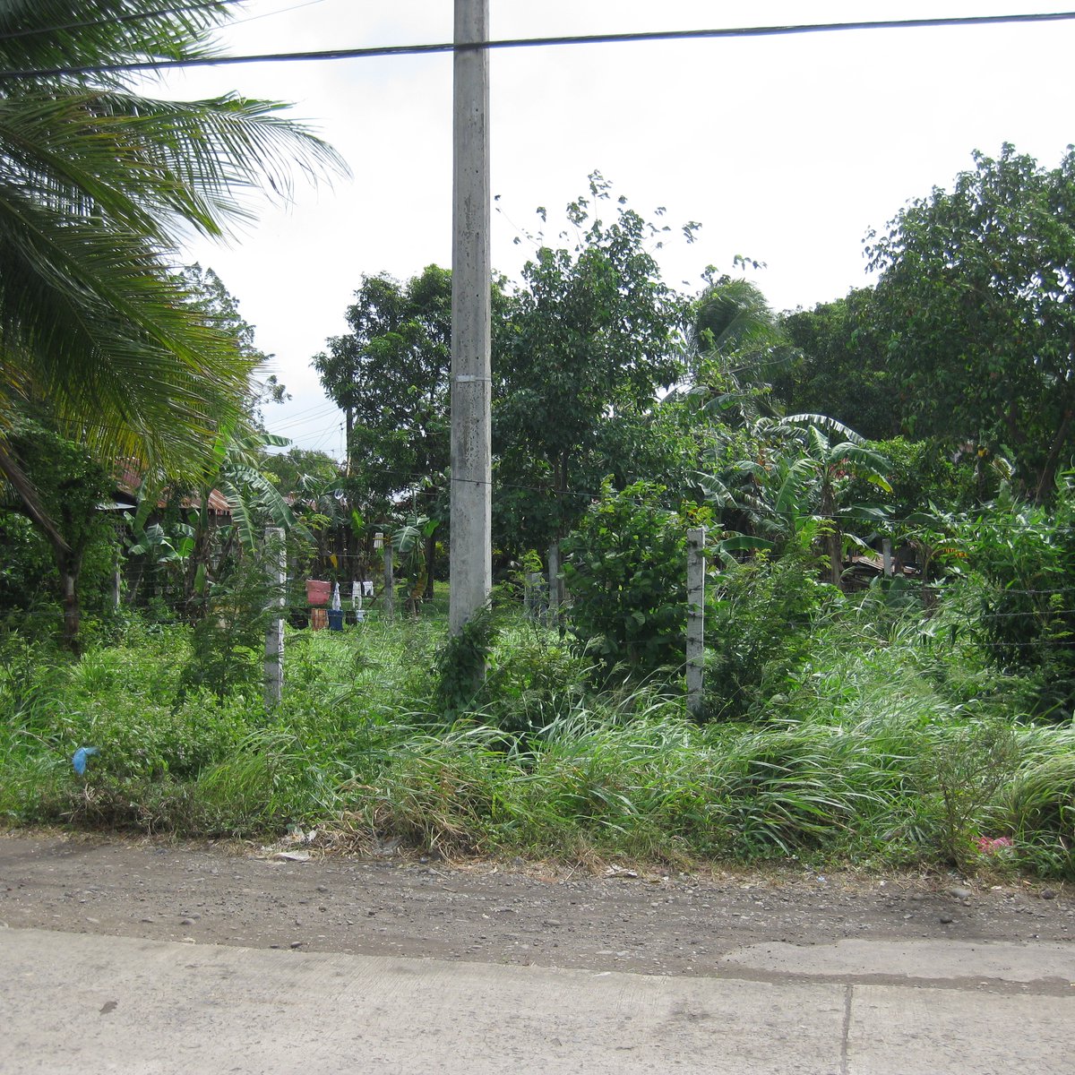 Paglaum 210 sqm Residential Lot For Sale in Brgy. Mansilingan Bacolod