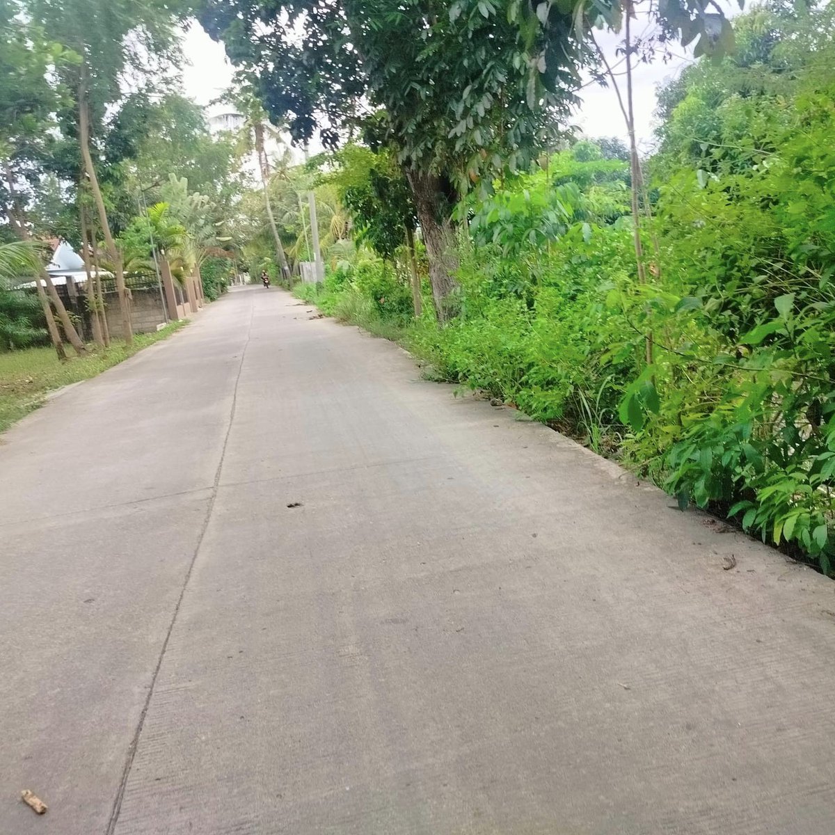 Lot for sale 2,000 sqm walking distance from Panagsama Beach Moalboal