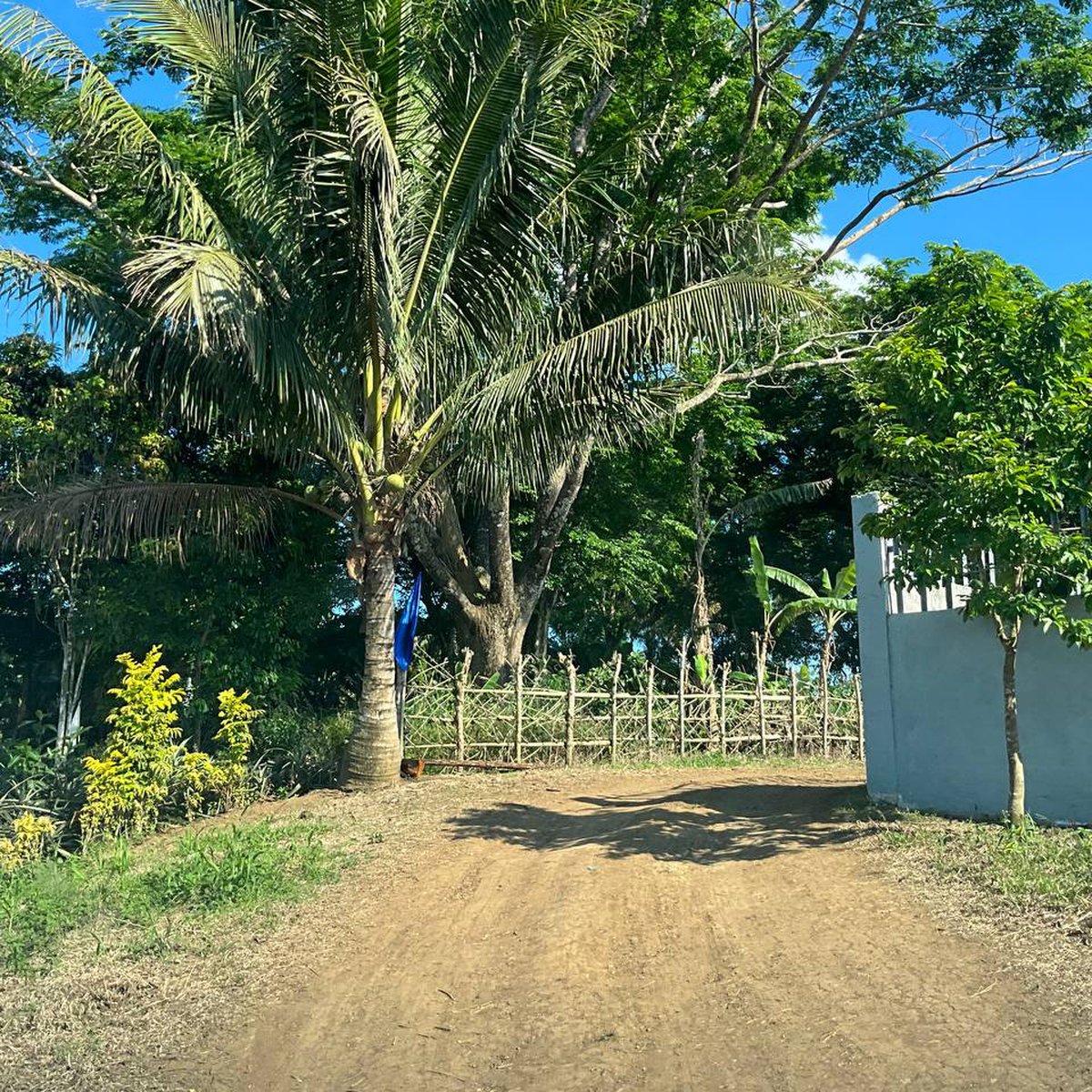CAVITE LOT FOR SALE NEAR TAGAYTAY CITY [Lot 🚜] (September 2024) in