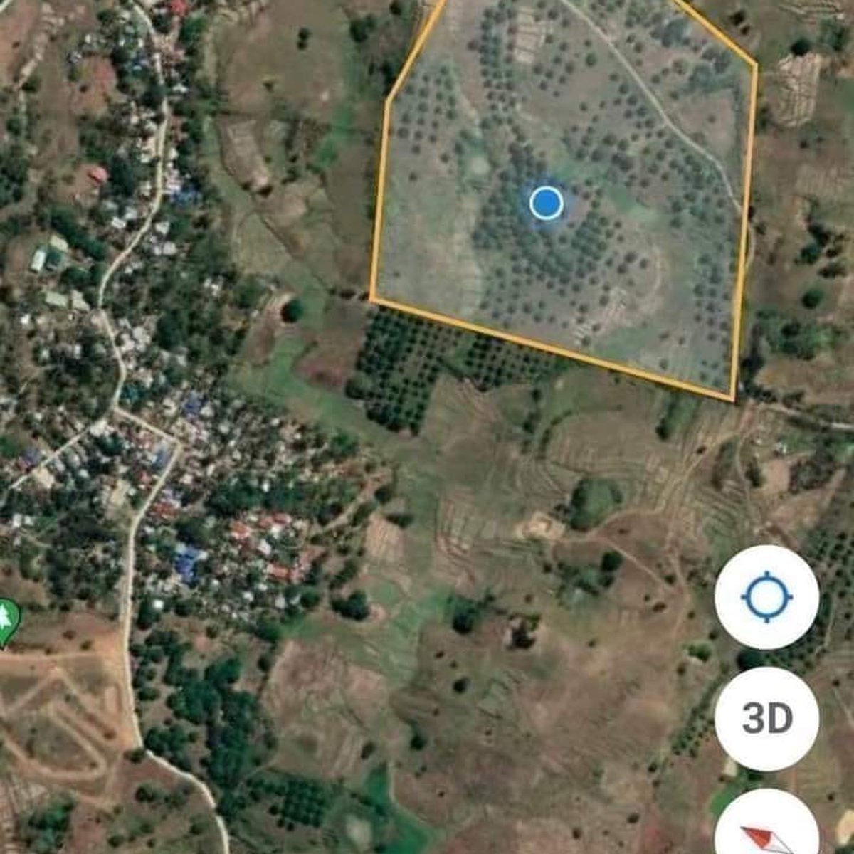 16 hectares Mango Farm For Sale in Umingan Pangasinan [Lot 🚜] (July