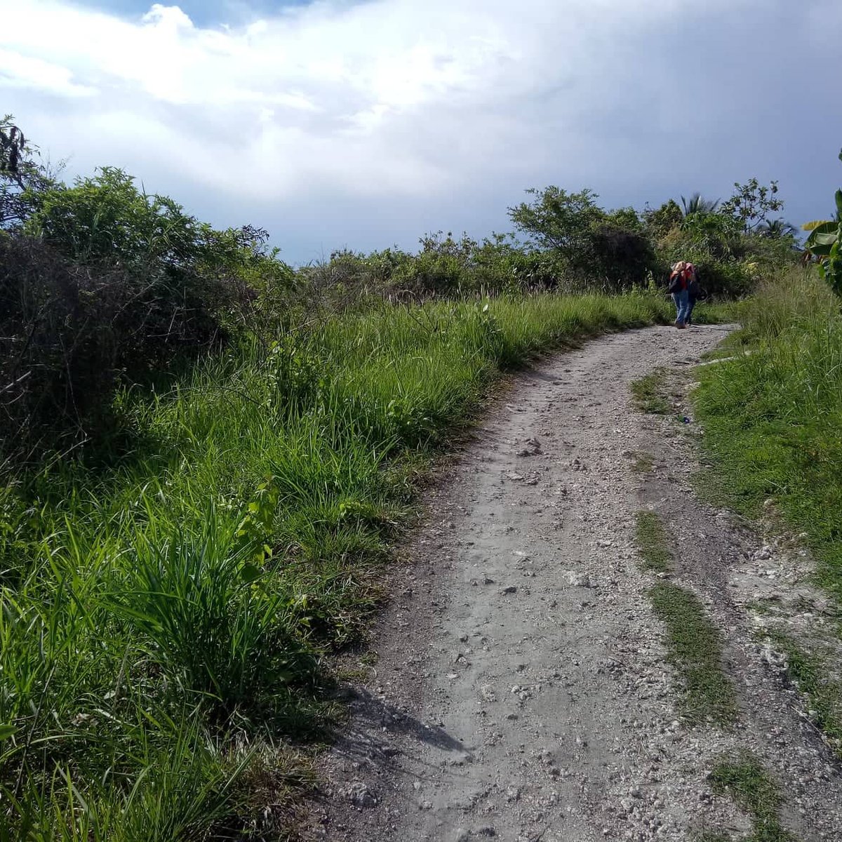 50 sqm Residential Lot For Sale in San Fernando Cebu [Lot 🚜] (October