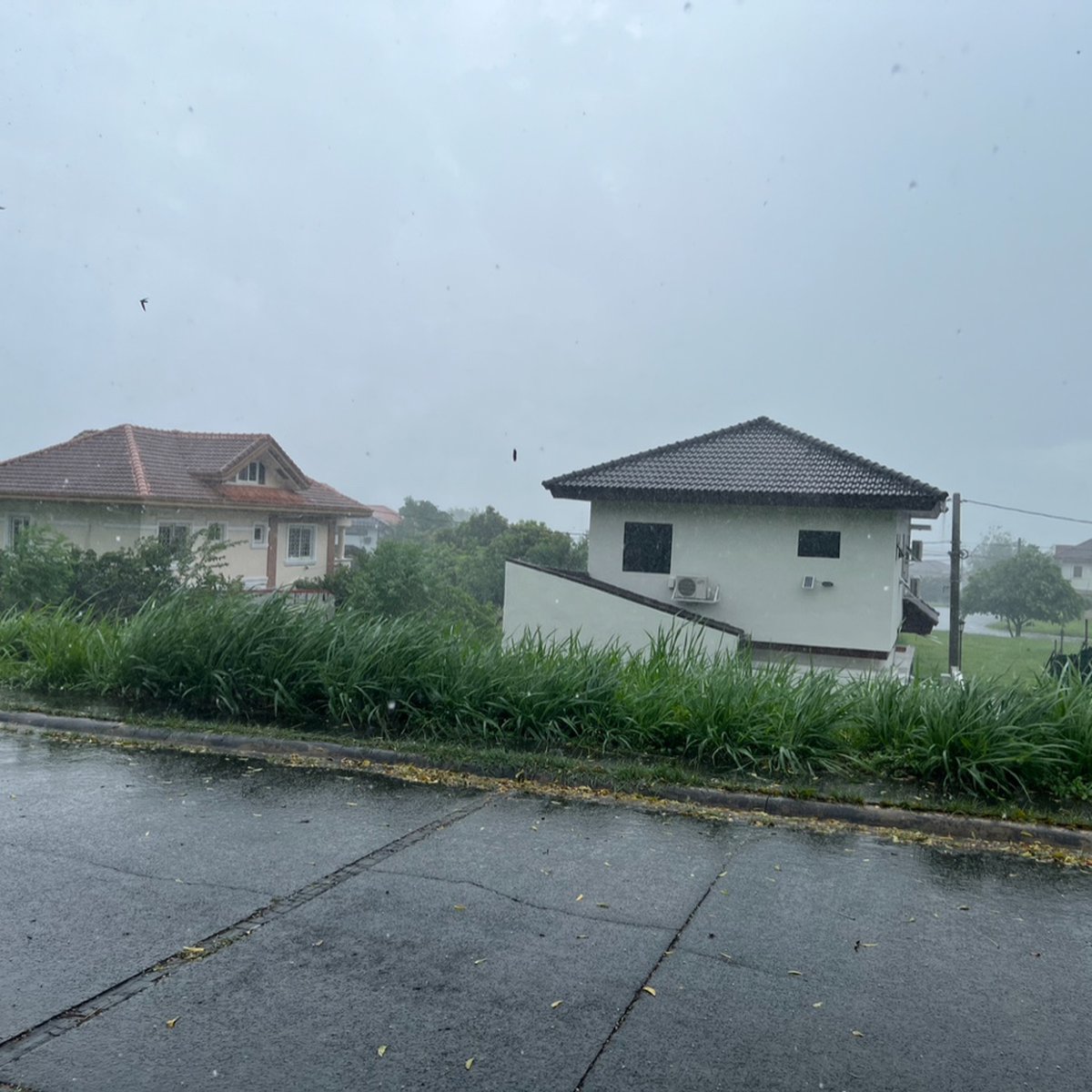 South Forbes Vacant Lot For Sale [Lot 🚜] (November 2023) in Santa Rosa