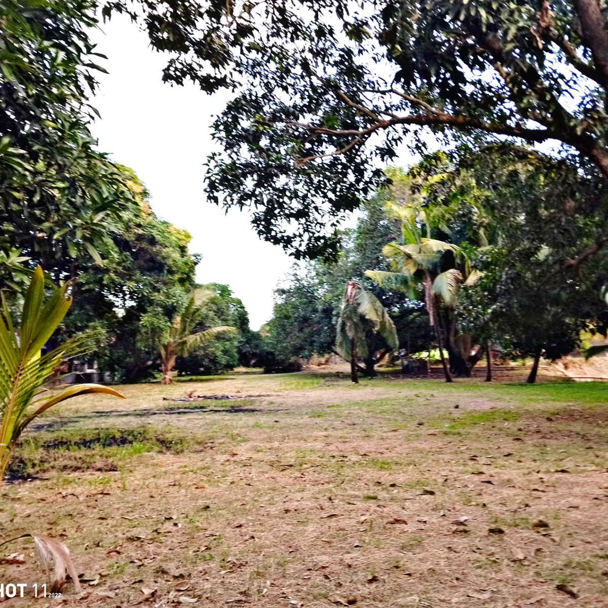 Quality Farm Lot Within City [Lot 🚜] (March 2023) in Lubao, Pampanga