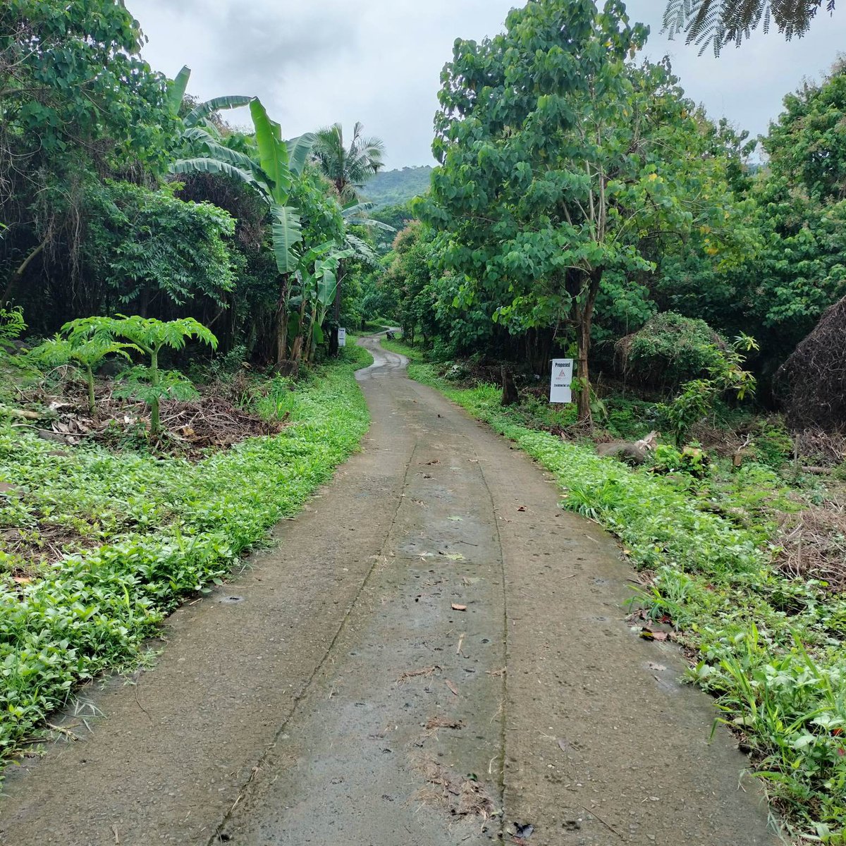 Residential Lot Quisao Pililla Rizal Philippines [Lot 🚜] (October 2023) in Pililla, Rizal for sale